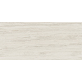 palatinum bone natural 60x120 rett.