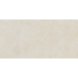 Space beige 30x60 matt rett