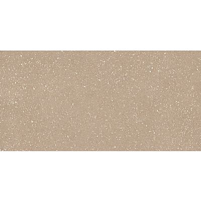 sassy greige 60x120 rett. matt