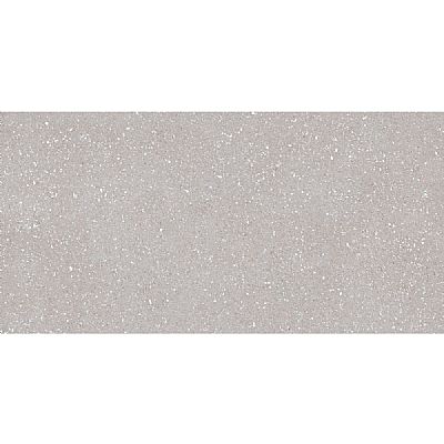sassy silver 60x120 rett. matt